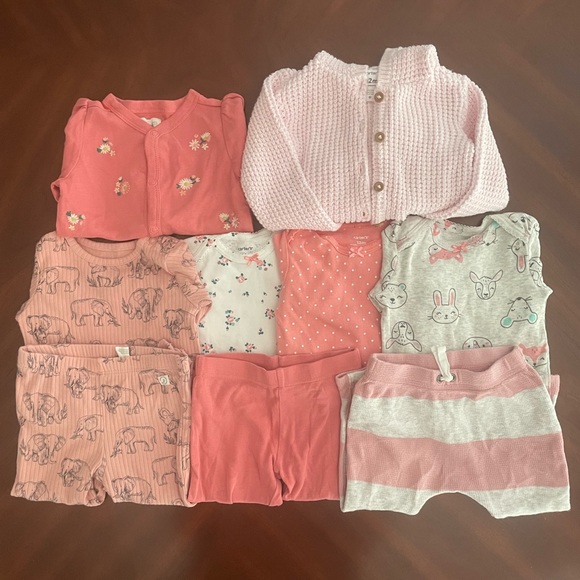 Carter's Other - Woodland Animals and Country Flower Garden Winter Baby Girl Lot